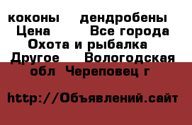 коконы    дендробены › Цена ­ 25 - Все города Охота и рыбалка » Другое   . Вологодская обл.,Череповец г.